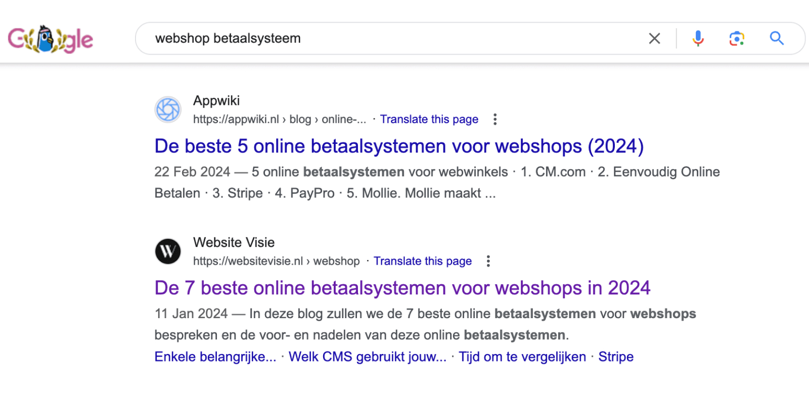 SEO resultaten Website Visie voorbeeld